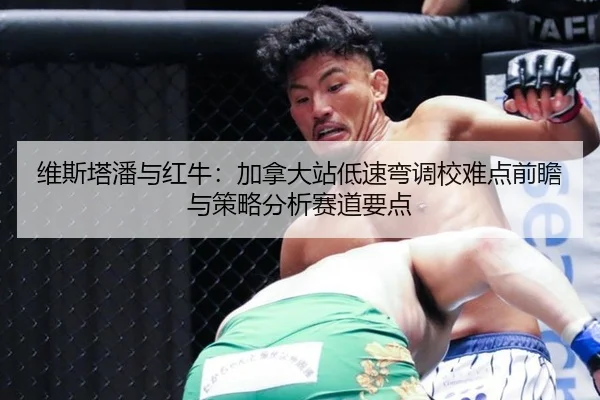 维斯塔潘与红牛：加拿大站低速弯调校难点前瞻与策略分析赛道要点