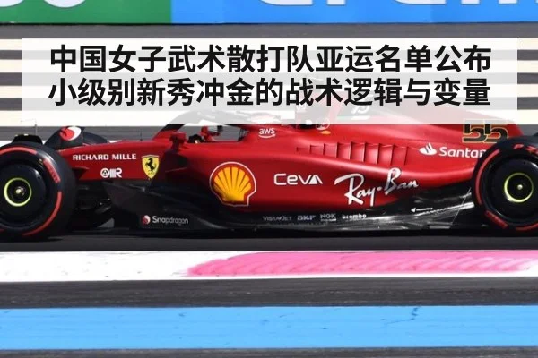 中国女子武术散打队亚运名单公布 小级别新秀冲金的战术逻辑与变量